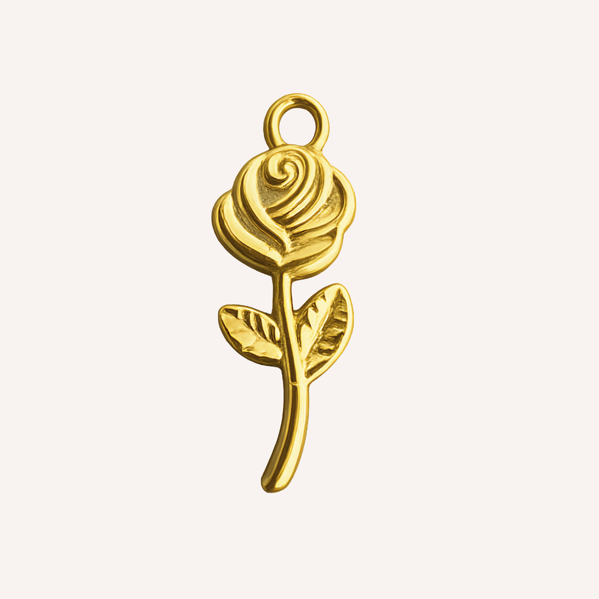 Rosa Charm