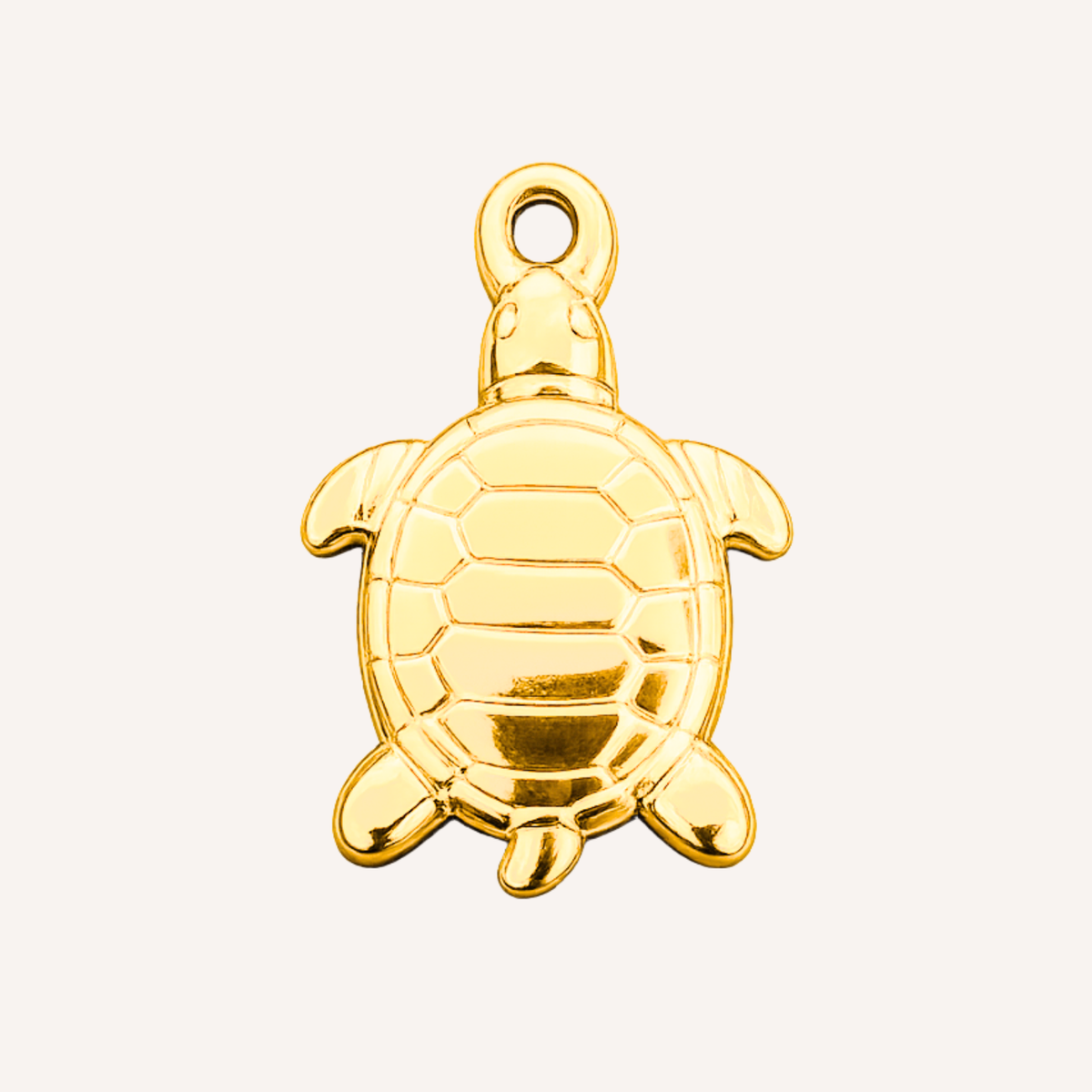 Guscio Charm