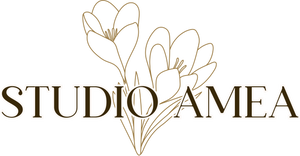 studioameanl