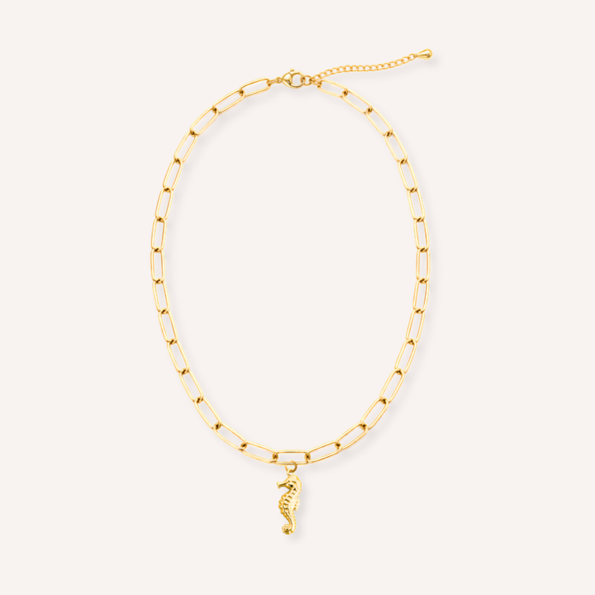 Nettuno Charm – aan ketting
