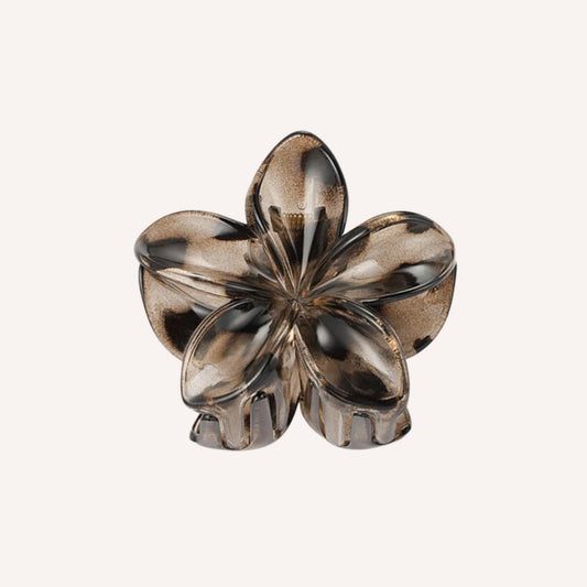 Ninfea Haarklem – Bruin