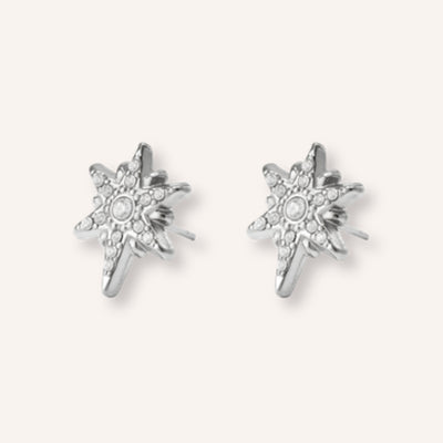 Favilla Oorbellen Zilver – zilverkleurige oorknopjes met steentjes