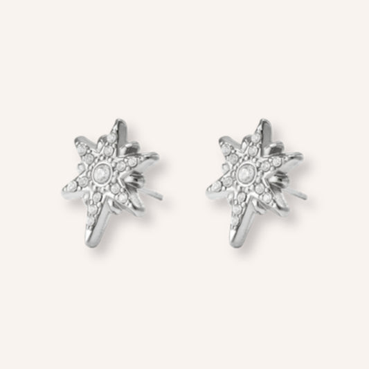 Favilla Oorbellen Zilver – zilverkleurige oorknopjes met steentjes