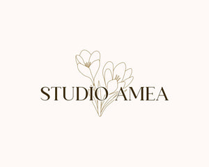 studioameanl