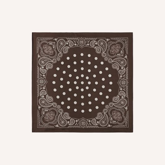 Seta Sjaal – Bruin, zijde-look sjaaltje met stippen en paisley